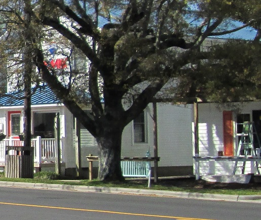 Southport NC shops and businesses